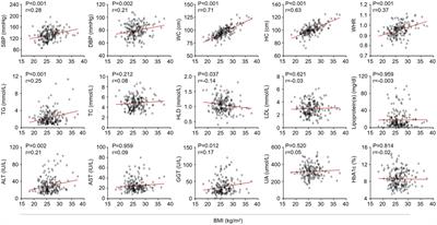 Metabolic characteristics of non-obese and obese metabolic dysfunction-associated fatty liver disease in type 2 diabetes mellitus and its association with diabetic peripheral neuropathy and diabetic retinopathy